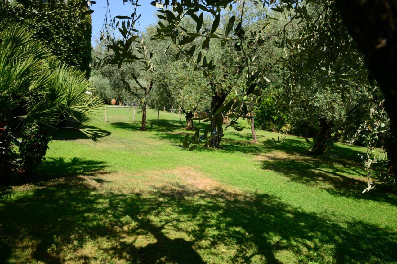 Agriturismo Corte Stefani Capannori Bagian luar foto