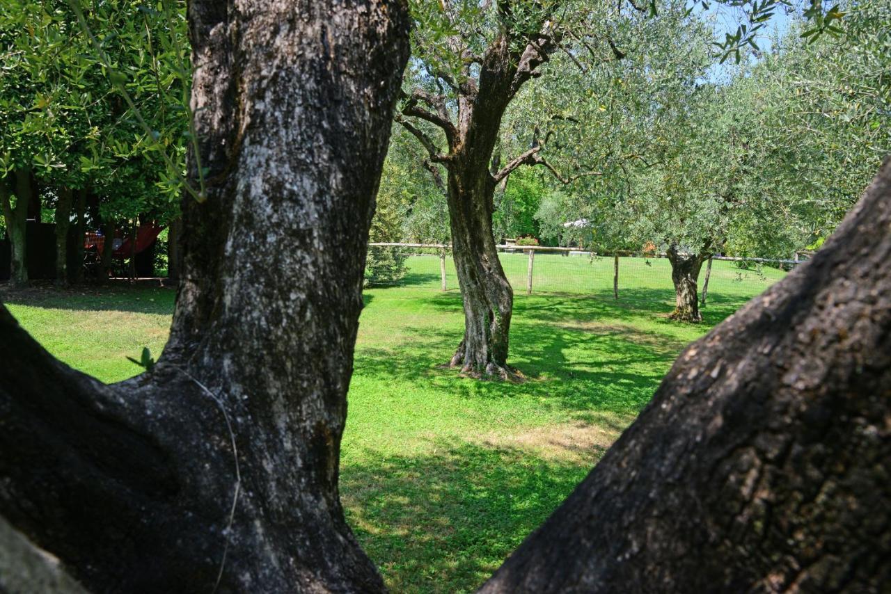 Agriturismo Corte Stefani Capannori Bagian luar foto