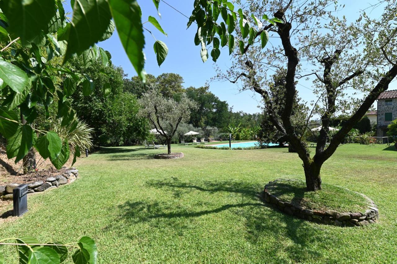 Agriturismo Corte Stefani Capannori Bagian luar foto