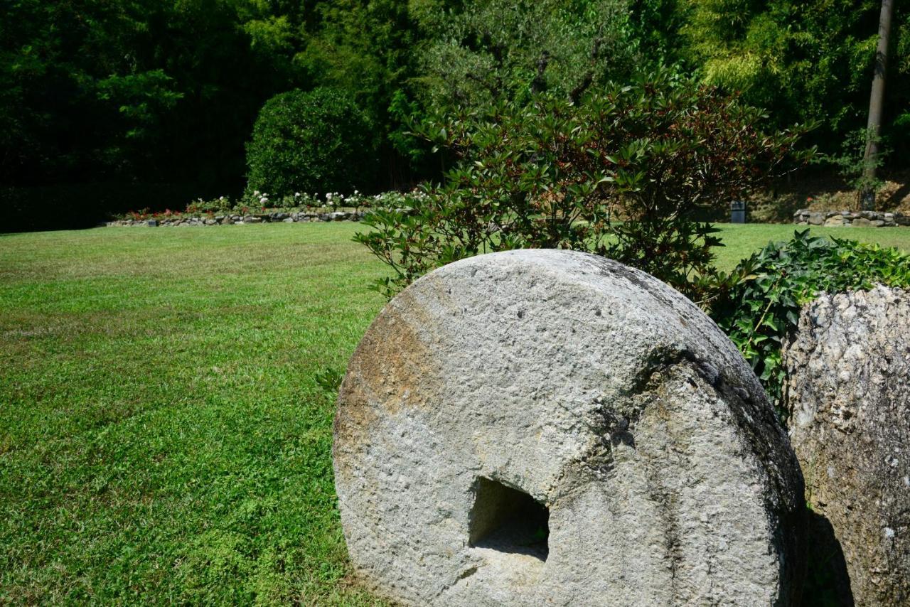 Agriturismo Corte Stefani Capannori Bagian luar foto