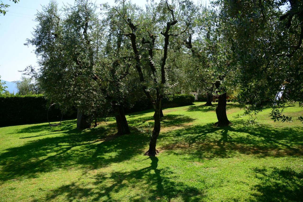 Agriturismo Corte Stefani Capannori Bagian luar foto