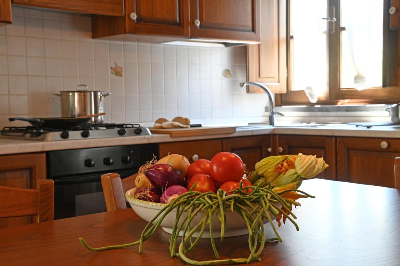 Agriturismo Corte Stefani Capannori Bagian luar foto